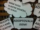 Fotografie z jazykového kurzu - Francouzština online - individuální lekce (Skype, Zoom...), Francouzština, Brno