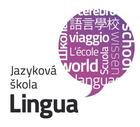 Učebnice v jazykovém kurzu Letní příměstský tábor s angličtinou - materiály Lingua